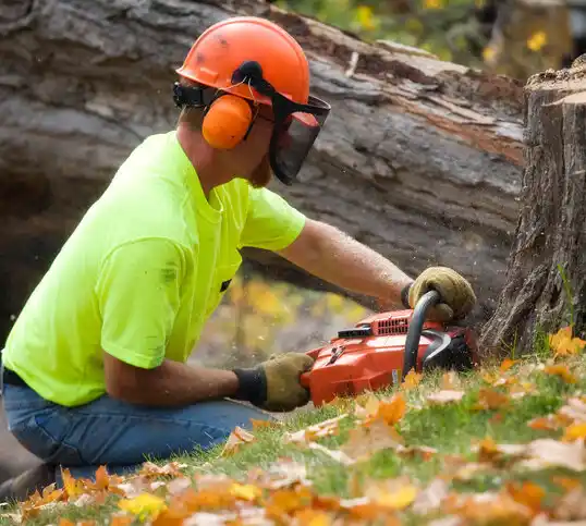 tree services Port Sulphur